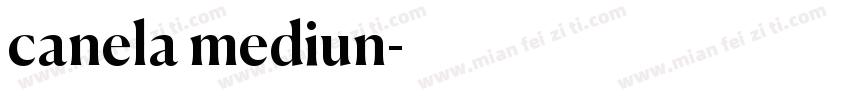 canela mediun字体转换